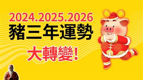 屬豬 幸運色|【屬豬 顏色】速查2024屬豬運勢指南：幸運色、財位、禁忌